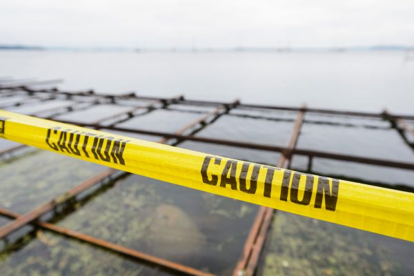 Caution tape marks off a closed section of Lake Mendota